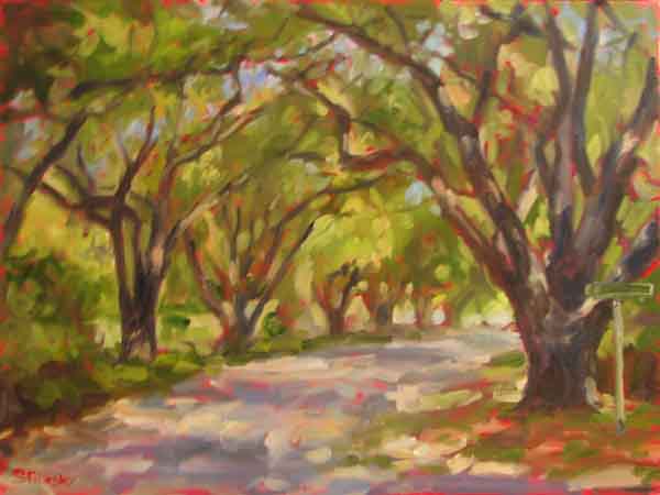 Aiken South Boundary