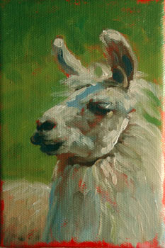 willie llama