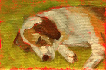 sleeping hound