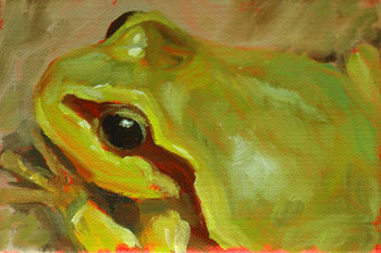 Oil Painting of Pine Barrens Tree Frog
