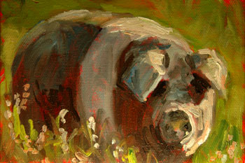 pig in garden