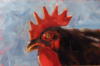 black rooster