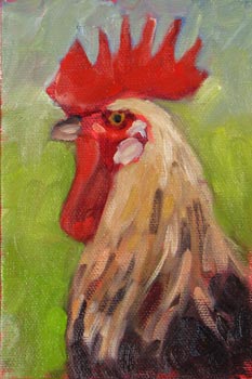 bald rooster