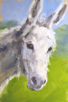white donkey