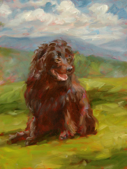 boykin spaniel at Blowing Rock oil painting